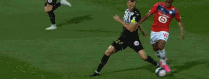 二次元策略 二次元策略